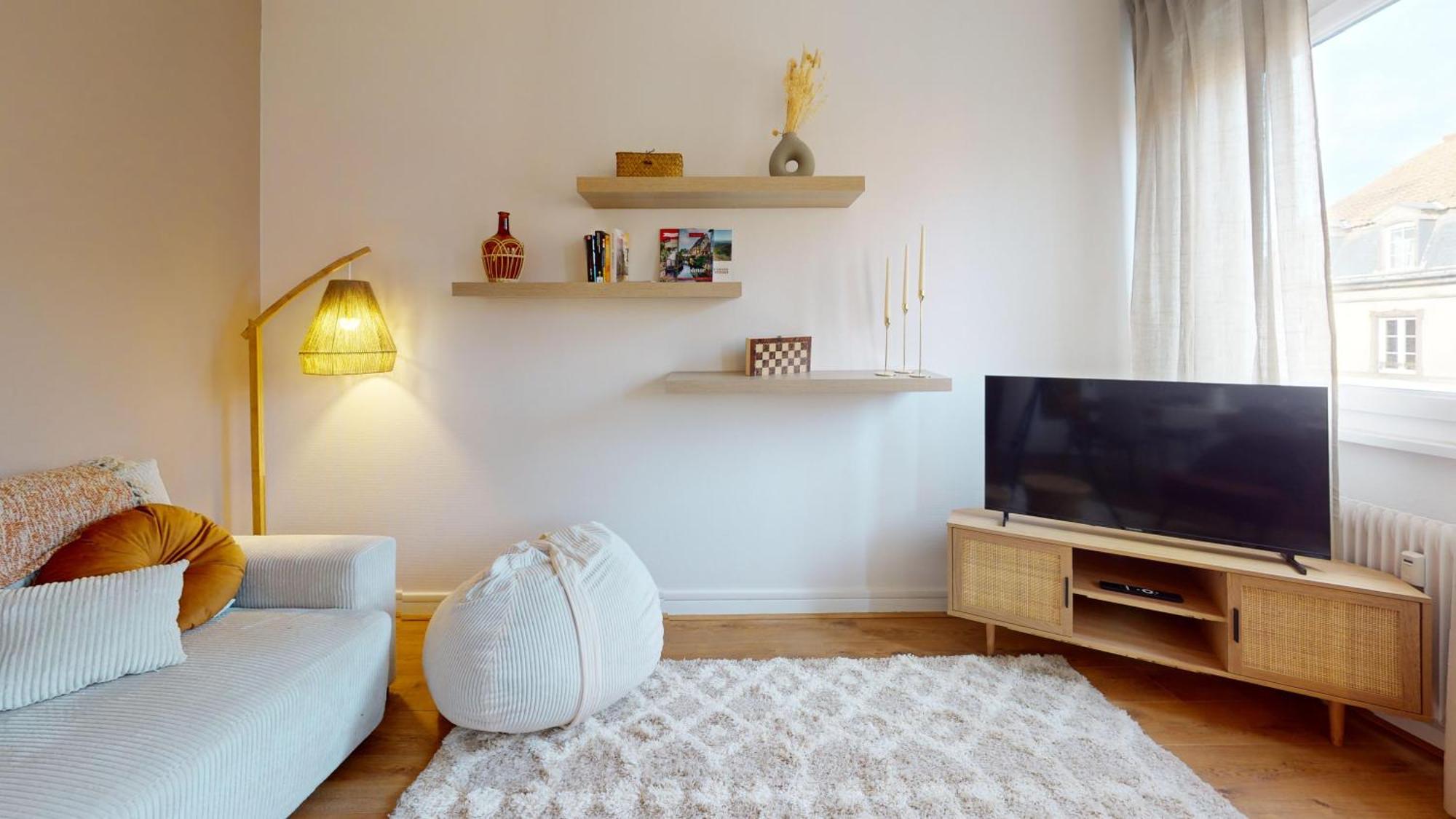 Appartement Chez Lea 1 Parking Colmar
